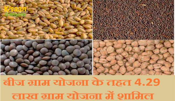 बीज ग्राम योजना: किसानों को उन्नत एवं प्रमाणित बीज उपलब्ध करवाने के लिए सरकार की योजना